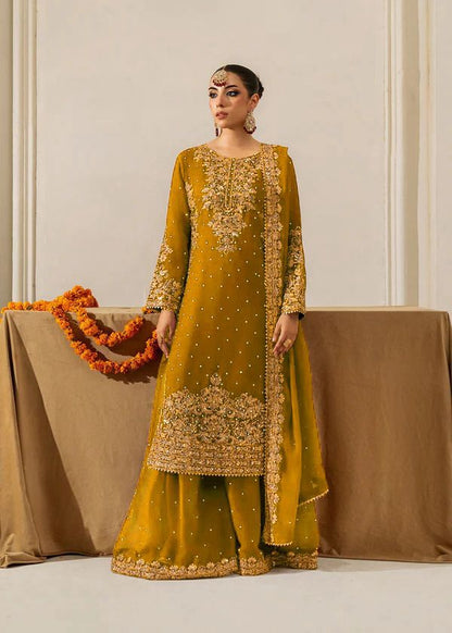 Embroidered Plazzo Suit Set