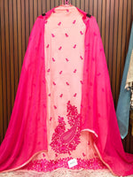 Pink Organza with Kashmiri Work