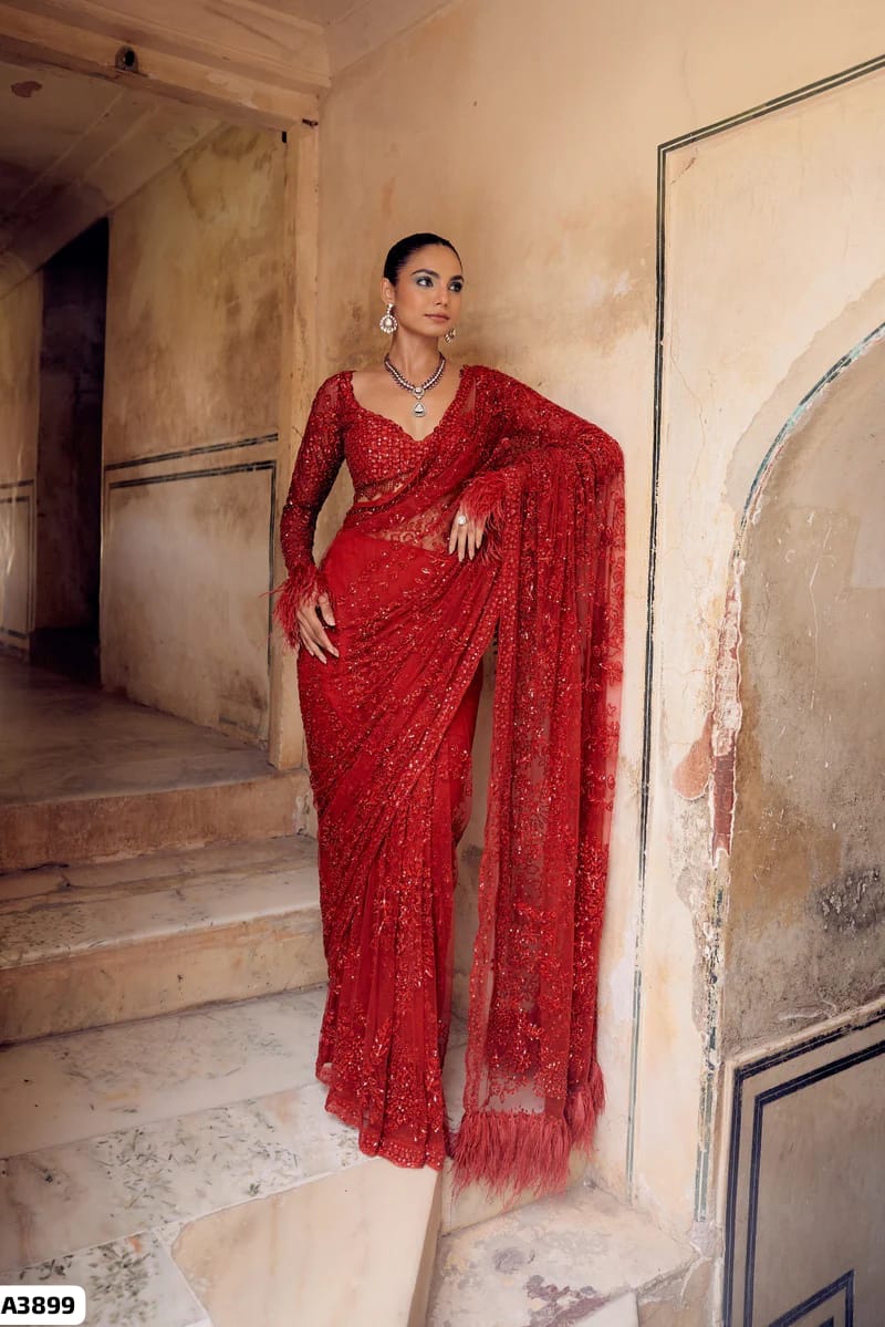 Red Net Saree