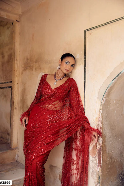 Red Net Saree