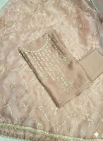 Beige Organza with heavy jaal gota dupatta